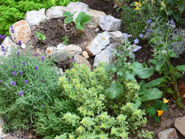 Permaculture element - herb spiral